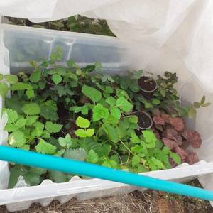 микры 0404 2.jpg