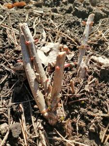 WhatsApp Image 2021-04-25 at 11.52.37.jpeg