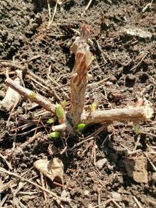 WhatsApp Image 2021-04-25 at 11.52.39.jpeg