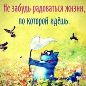 Радоваться жизни.jpg