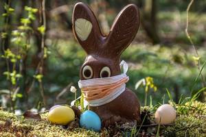 1573197-easter-4976728-1280.thumb.jpg.af25b17b2722de1701e1f05df95c8d9f.jpg