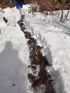 WhatsApp Image 2021.jpeg