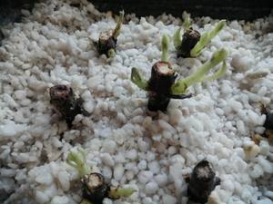 WhatsApp Image 2021-04-10 at 14.09.37.jpeg