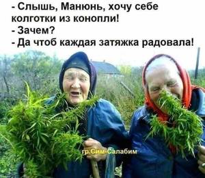 колготки из конопли.jpg