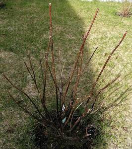 25 апреля 2021.jpg