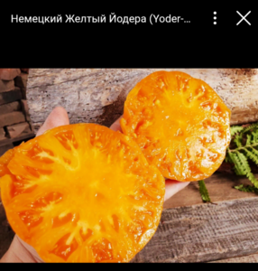 20210315_002204.png