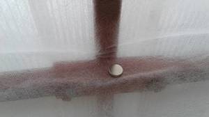 20210424_104103.thumb.jpg.f6a194a632f5461dd71e5c3c53b15e31.jpg