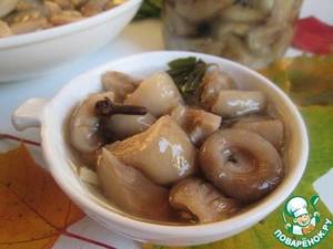 грузди соленые.jpg