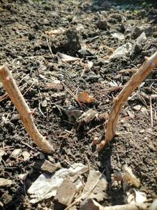 WhatsApp Image 2021-04-25 at 11.52.38 (1).jpeg