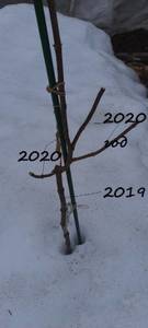 20210404_142332 - копия.jpg