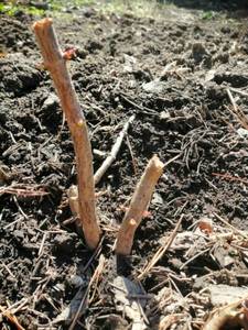 WhatsApp Image 2021-04-25 at 11.52.38.jpeg