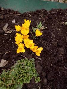 IMG_20210417_120516.jpg
