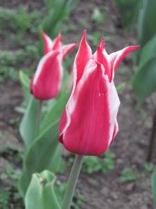 IMG_2801.thumb.JPG.36c7220761d1360c7443de816f20218c.JPG