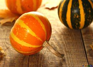 pumpkin-autumn-decorative-pumpkins-35258.thumb.jpg.676d970b897ba37de4c67fe55b6db792.jpg