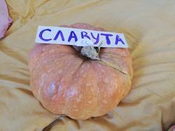 Slavuta30marta2021.jpg