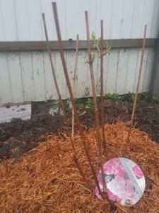 2021-05-09 06.59.43.jpg