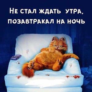 152712131_1443365499353773_6030037007229477668_n.thumb.jpg.5085ccf8c98ef6f4866d8f46b8a2991b.jpg