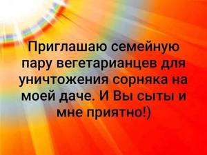 ВЕГЕТАРИАНЦЫ.jpg