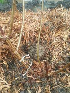 2021-05-09 09.23.57.jpg