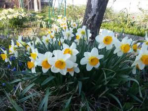 20190507_180636.jpg