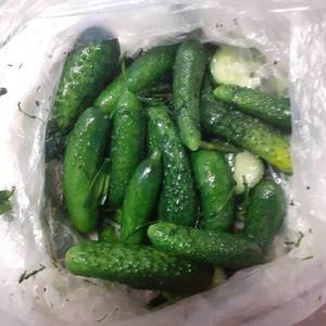 малосольные огурчики.jpg