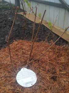 2021-05-09 07.00.16.jpg