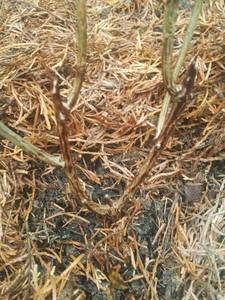 2021-05-09 09.26.46.jpg