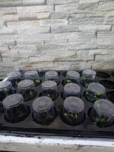 WhatsApp Image 2021-05-18 at 16.21.34.jpeg