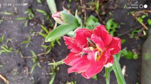 IMG_20210507_082517.jpg