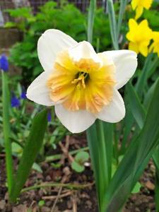 IMG_20210512_125241.thumb.jpg.2082c861f86542b8b440fa3430f00d7f.jpg