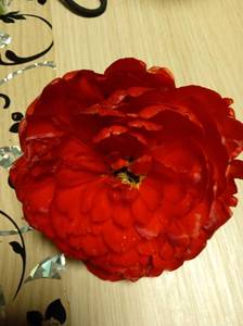 IMG_20210521_001400_1.thumb.jpg.322bcb0869677754940ae8574217c0c5.jpg