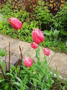 IMG_20210522_055820.jpg