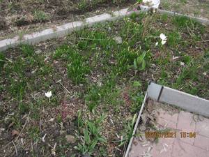 IMG_6191.thumb.JPG.8c02e6429cf89ae5f70879d5c5e77331.JPG