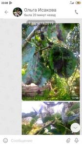 Screenshot_2021-05-25-23-08-05-281_ru_ok.android.thumb.jpg.e86f1ea5efc411b21d113f8f4e0c898d.jpg