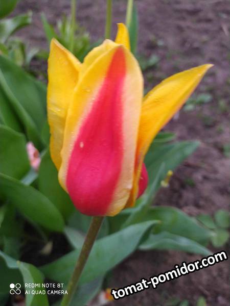 IMG_20210506_193441.jpg