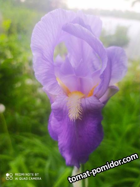 IMG_20210528_064328.jpg