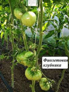 1182903093_(1).thumb.jpg.7140022b185fdd9a9a8c16dfc6e8d5d0.jpg