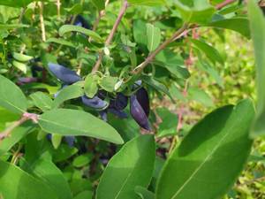 WhatsApp Image 2021-06-03 at 15.12.48 (1).jpeg