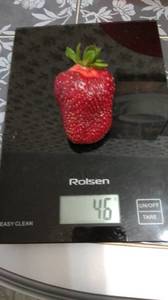 IMG_20210619_191630[1].jpg