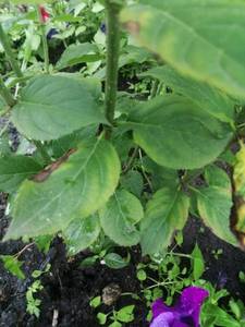 WhatsApp Image 2021-06-23 at 21.43.24 (2).jpeg