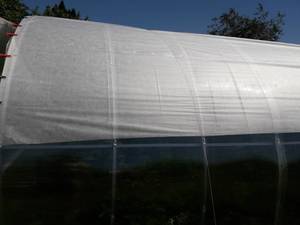 201288344_4020603891351089_2355469335610460361_n.thumb.jpg.6a2a596343dfcfc0db6a4365e5d259a6.jpg