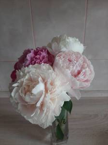 20210529_141858-min.jpg