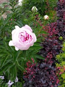 20210611_123930_resize_49.jpg