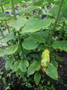 WhatsApp Image 2021-06-23 at 21.43.24 (3).jpeg