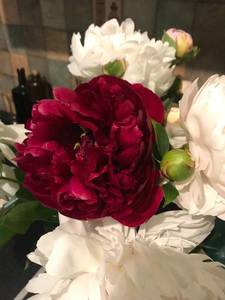 6E107E2F-B627-4CA4-A250-DD4A7EDCBB65.jpeg