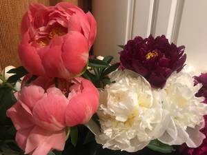 70E5EDB6-74BE-4984-B927-D12E0A2C2EB3.jpeg