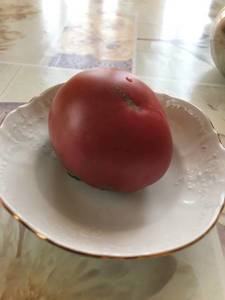 C29E4D87-814A-4F4D-A2B4-27A94EE0BF1C.jpeg
