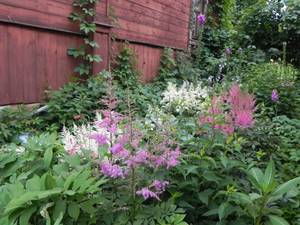 DSCN2813.JPG