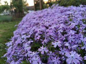 IMG_20210522_203530.jpg