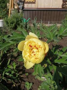 IMG_20210615_080321.jpg